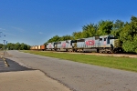 KCS 7009 Leads KCS W-SHKC-30